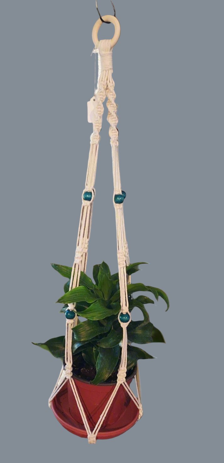 Clean, stylish plant hanger with knots, beads, and no tassel