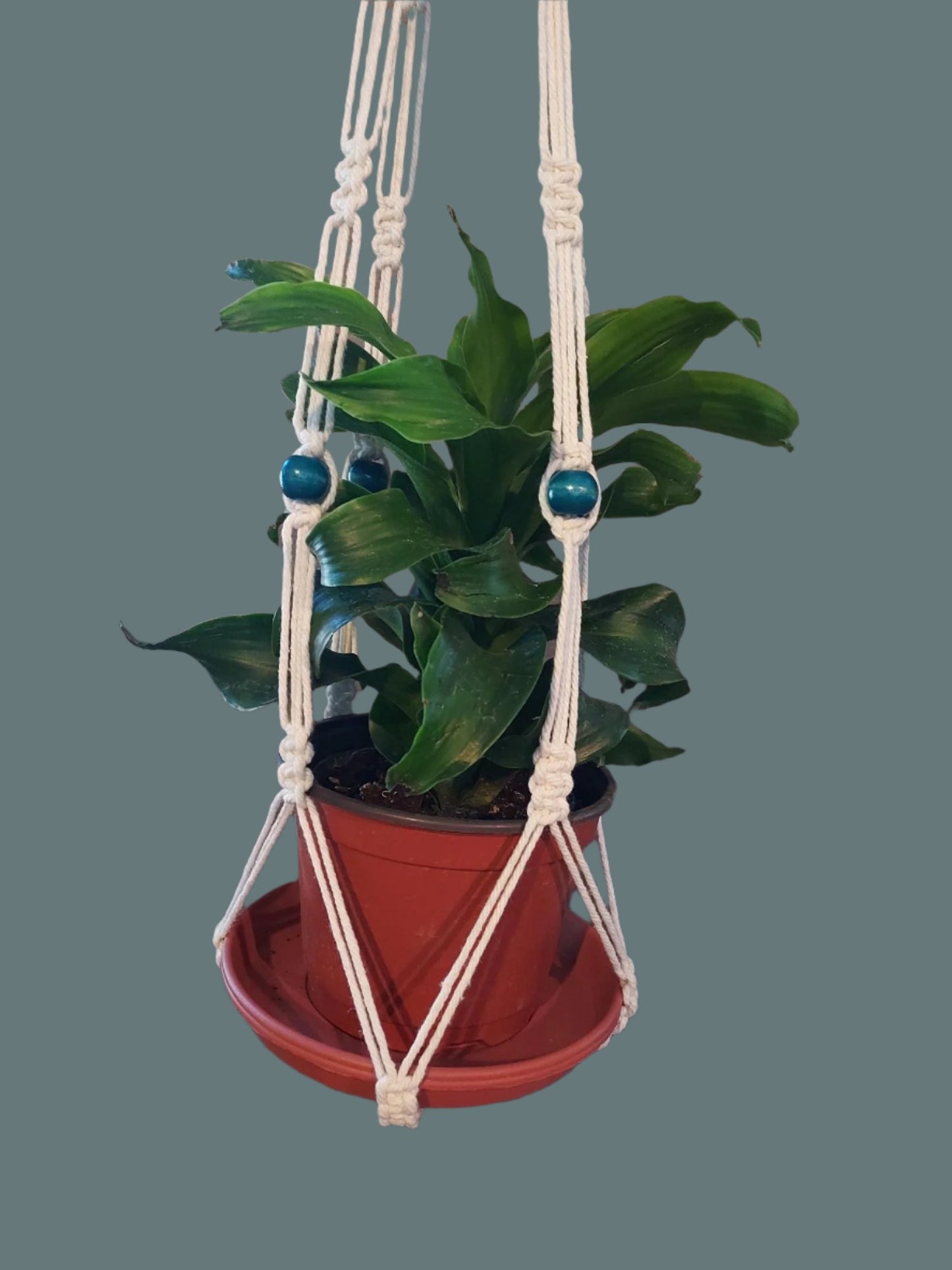 Clean, stylish plant hanger with knots, beads, and no tassel