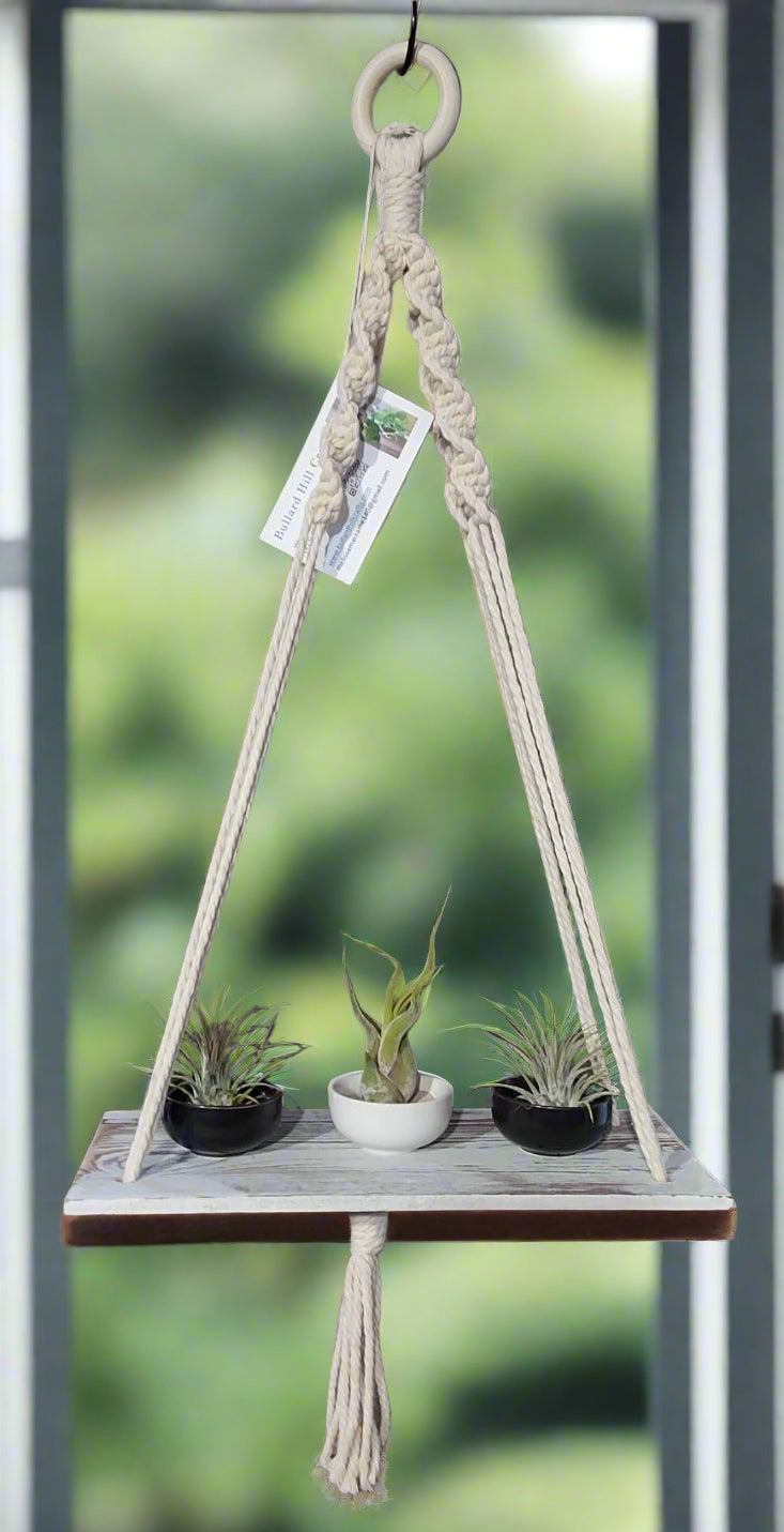 Shelf Plant Hanger