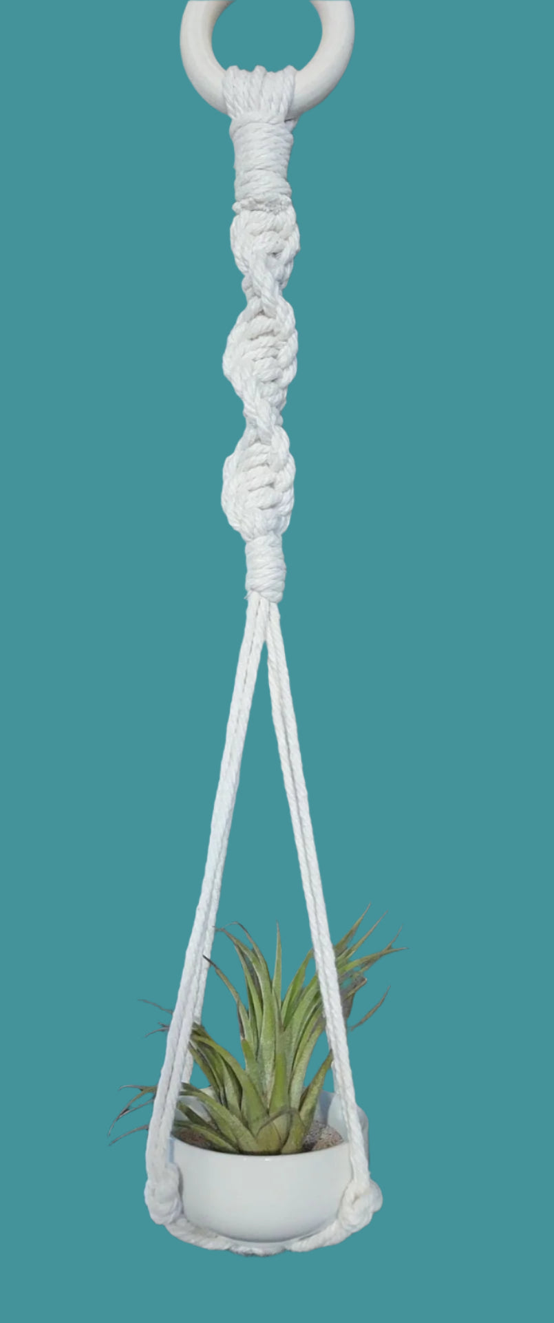 Macrame air plant hanger with ceramic holder