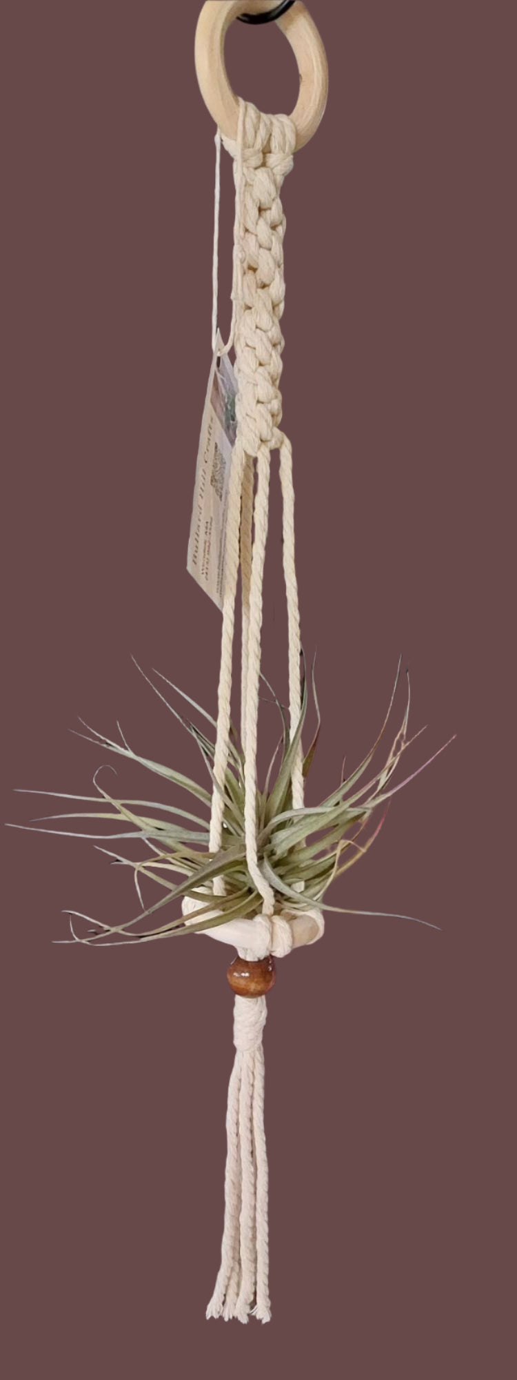 Macrame wooden ring air plant hanger